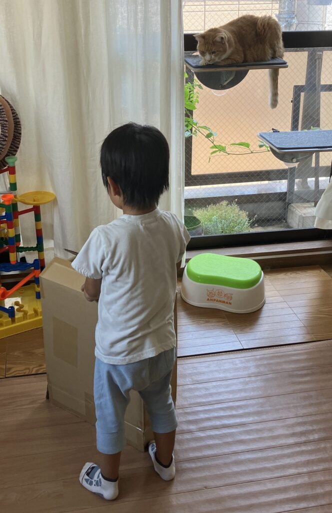 リビングで遊ぶ小さい子を見守る飼い猫